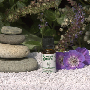 aromatherapy archangel gabriel oil essential oil