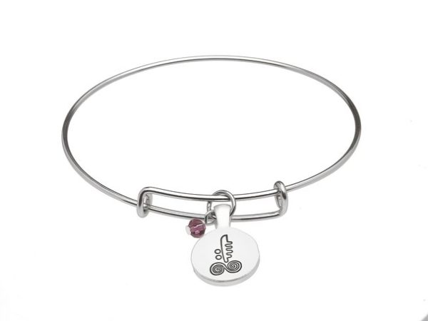 February Silver Plated Celtic Astrology Bangle