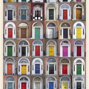 Doors of Dublin Poster-Print